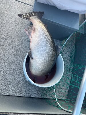 IMG_3222.jpeg