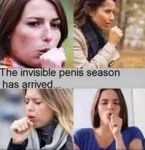 1759353453120.png