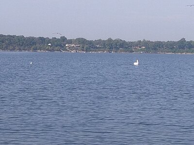 IMG_20251002_100505.jpg