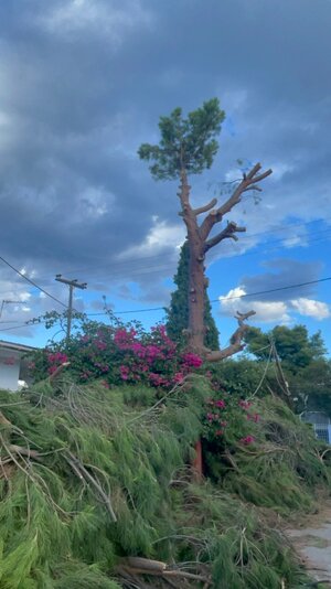 IMG_6617.jpeg