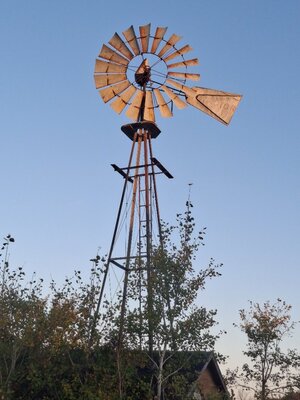 20251005_081226.jpg