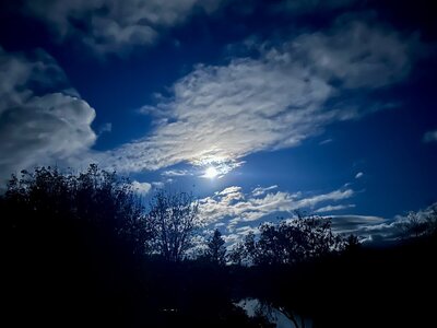 IMG_2279.jpeg