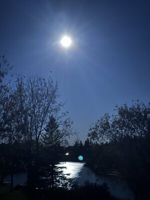 IMG_2286.jpeg