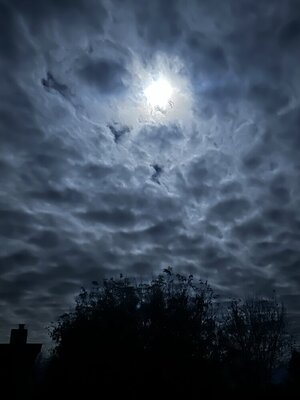 IMG_2288.jpeg