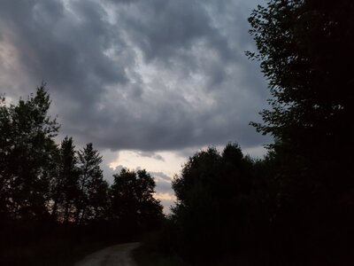 20251003_063124.jpg