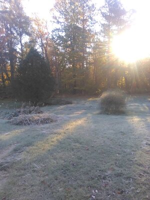 first frost 10:10:25 2.jpg