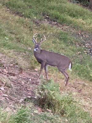 IMG_6497.jpeg