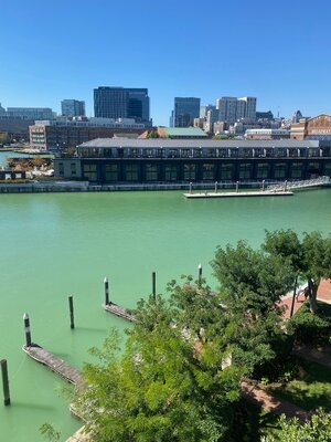 IMG_0773.jpeg