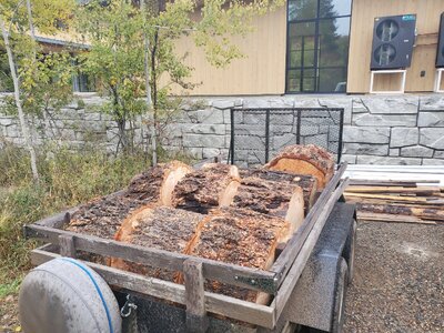 bigwood.jpg