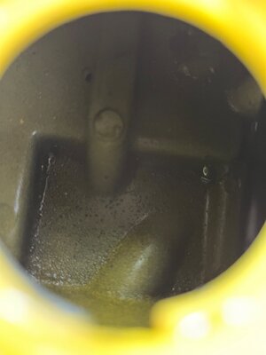 IMG_2516.jpeg