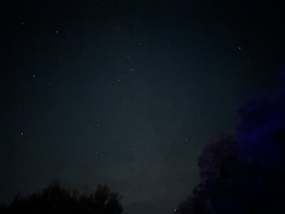 IMG_2303.jpeg