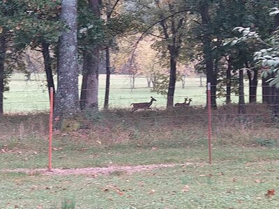 IMG_20251013_180537.jpg