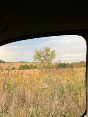 IMG_1698.jpeg