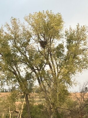 IMG_1699.jpeg