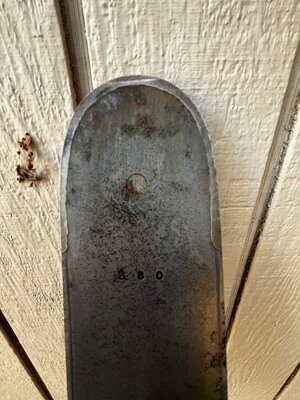 IMG_2626.jpeg