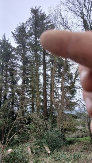 20251017_104427.jpg