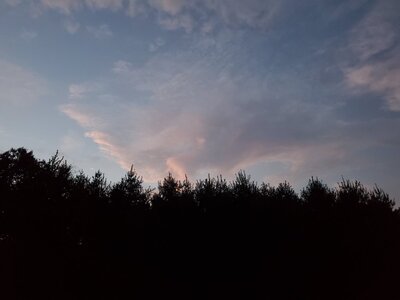 20251017_184017.jpg