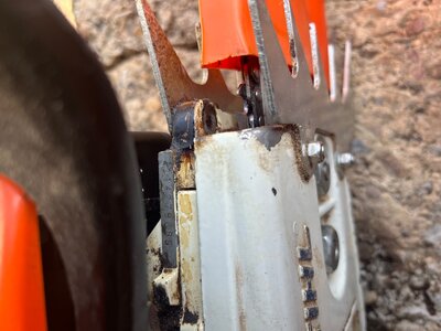 IMG_4312.jpeg