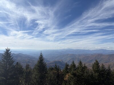 IMG_7112.jpeg