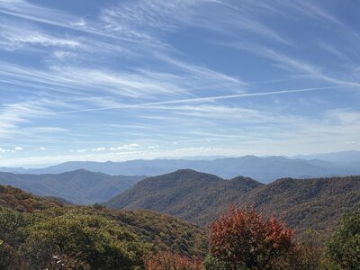 IMG_7093.jpeg