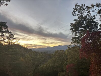 IMG_7117.jpeg