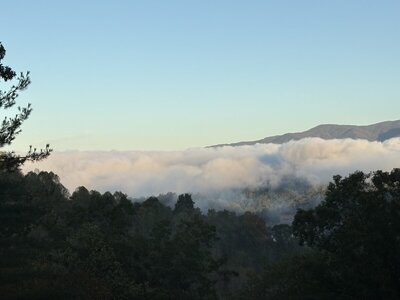 IMG_7078.jpeg