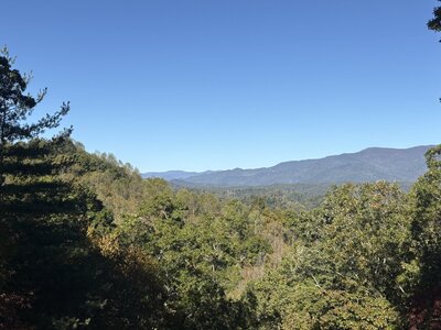 IMG_7033.jpeg