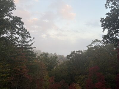 IMG_7122.jpeg
