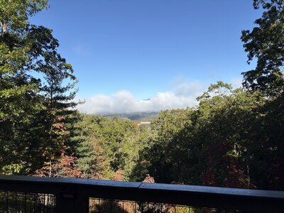 IMG_7032.jpeg