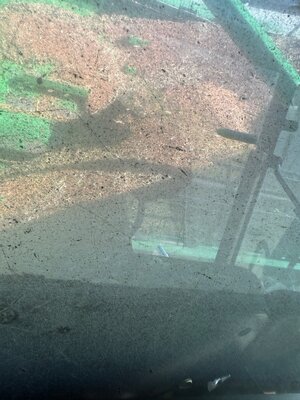 IMG_8269.jpeg
