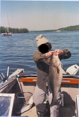 2 stripers .png 2 stripers .png