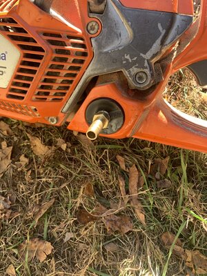 IMG_1904.jpeg