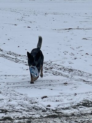 IMG_3034.jpeg