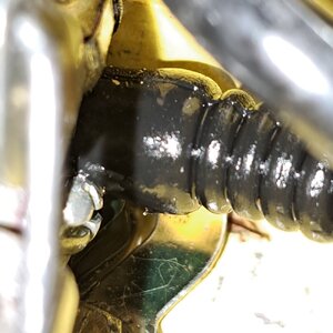 20251028_124744.jpg 20251028_124744.jpg