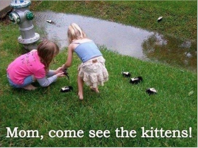1 smelly little kitens.png