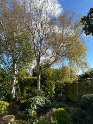 IMG_9471.jpeg IMG_9471.jpeg