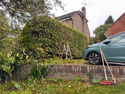 IMG_9473.jpeg IMG_9473.jpeg