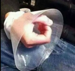 IMG_5349.jpeg IMG_5349.jpeg