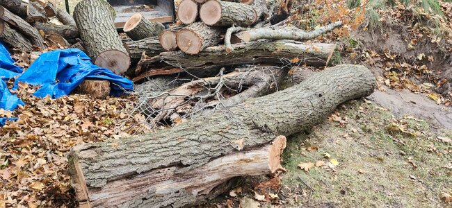 20251027_153538.jpg 20251027_153538.jpg