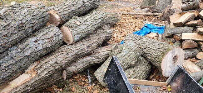 20251027_153513.jpg 20251027_153513.jpg