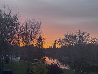 IMG_2339.jpeg IMG_2339.jpeg