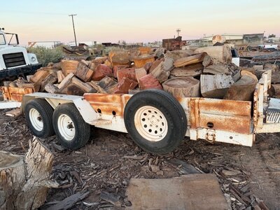 IMG_5938.jpeg IMG_5938.jpeg