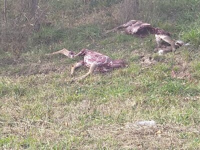 IMG_20251104_135621.jpg IMG_20251104_135621.jpg