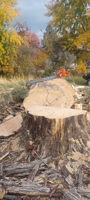 1000013240.jpg 1000013240.jpg