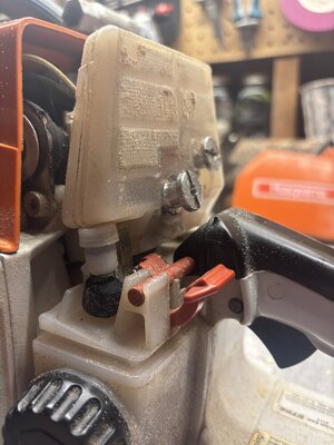 IMG_1181.jpeg IMG_1181.jpeg