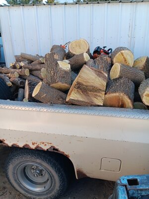 20251111_165640.jpg 20251111_165640.jpg