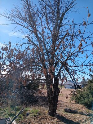 20251111_134026.jpg 20251111_134026.jpg