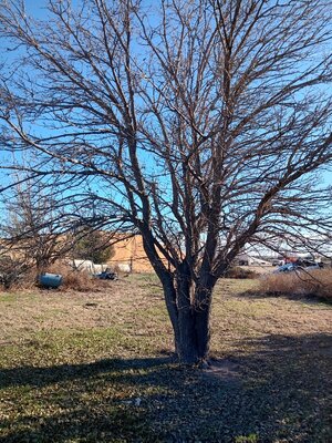 20251111_150125.jpg 20251111_150125.jpg