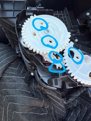 IMG_2938~2.jpeg IMG_2938~2.jpeg