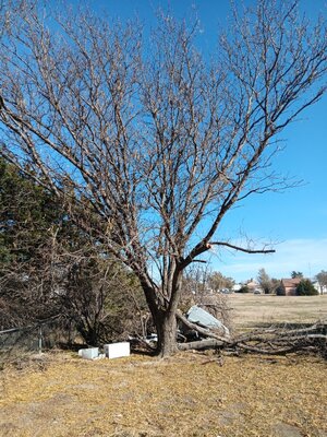 20251112_140700.jpg 20251112_140700.jpg